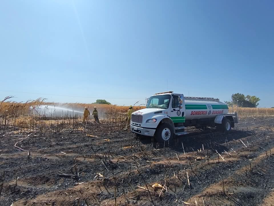 Incendios se disparan 80 % en Guasave