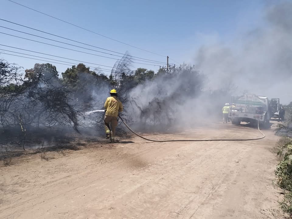 Incendios se disparan 80 % en Guasave