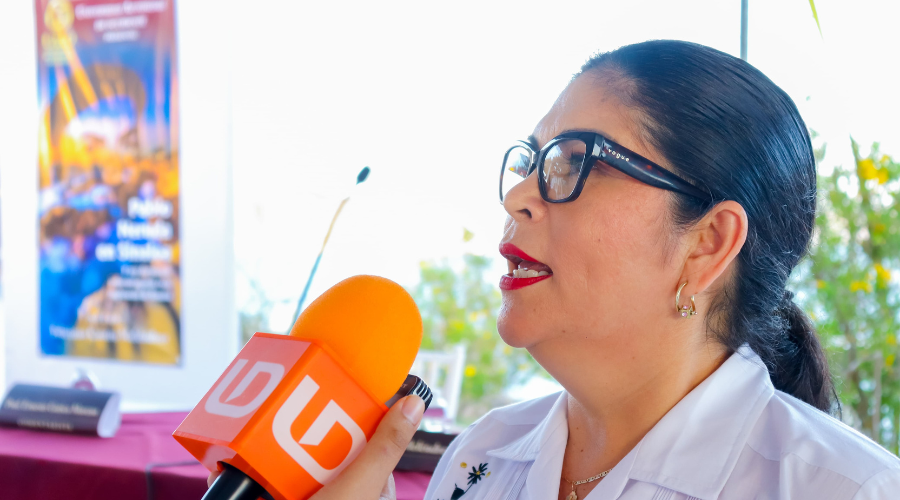 Diputada local Juana Minerva Vázquez
