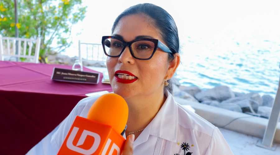 Diputada local Juana Minerva Vázquez
