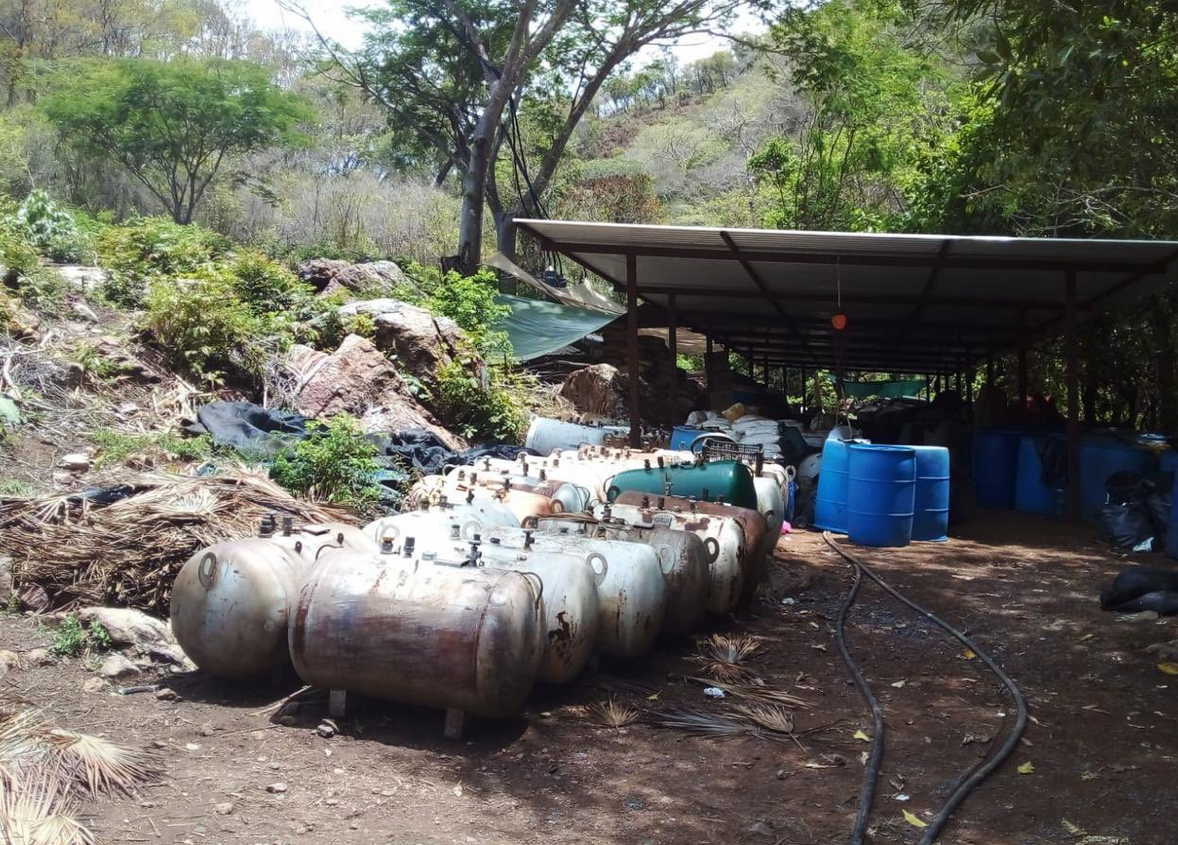 Autoridades desmantelan laboratorio clandestino en Michoacán; aseguran más de 800 kilos de marihuana