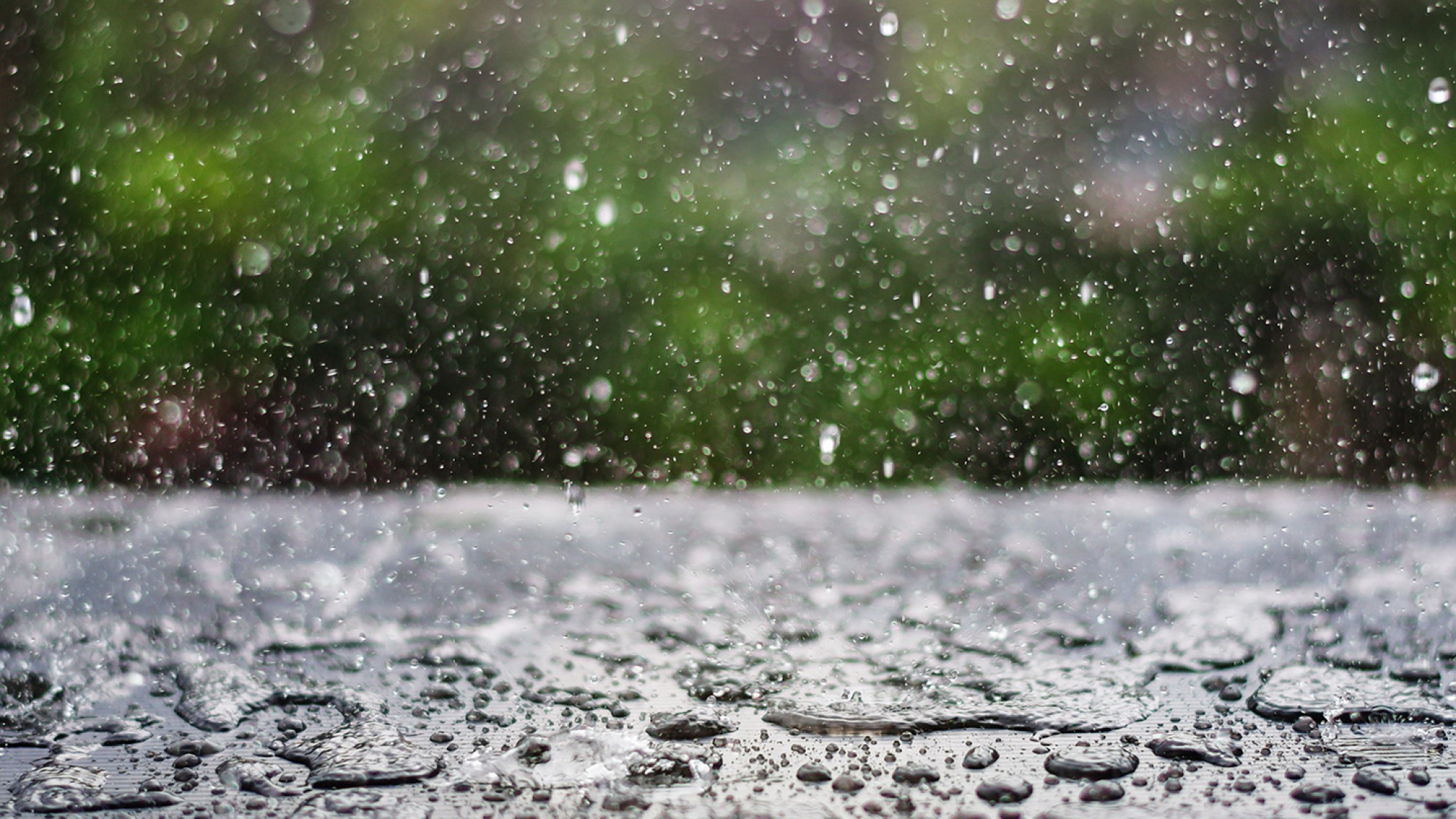Gotas de lluvia.