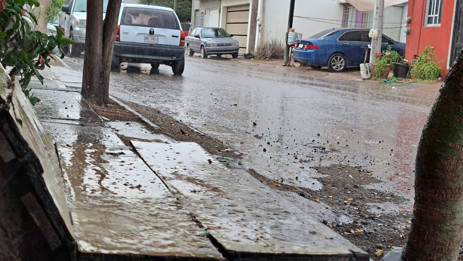 Llovizna mañanera en Guamúchil.