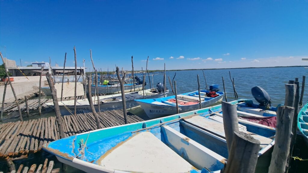 Pescadores de Guasave enfrentan crisis por escasez de especies y mercados adversos