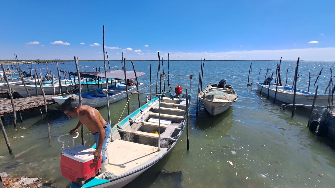 Pescadores de Guasave enfrentan crisis por escasez de especies y mercados adversos