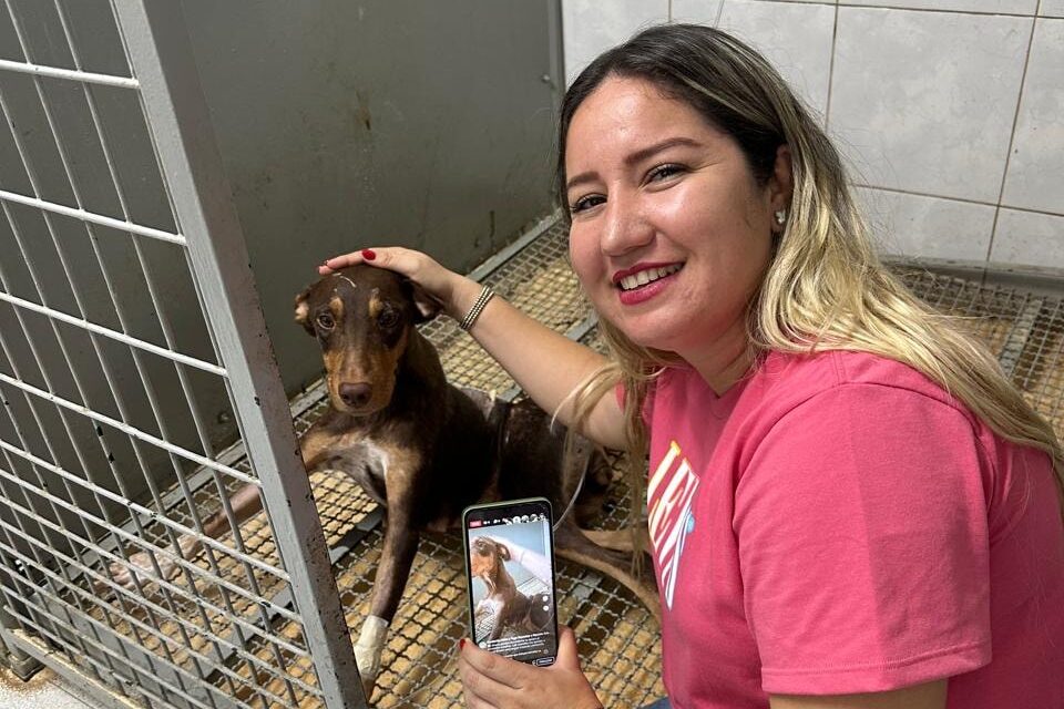 Qué pasó con la perrita herida de bala