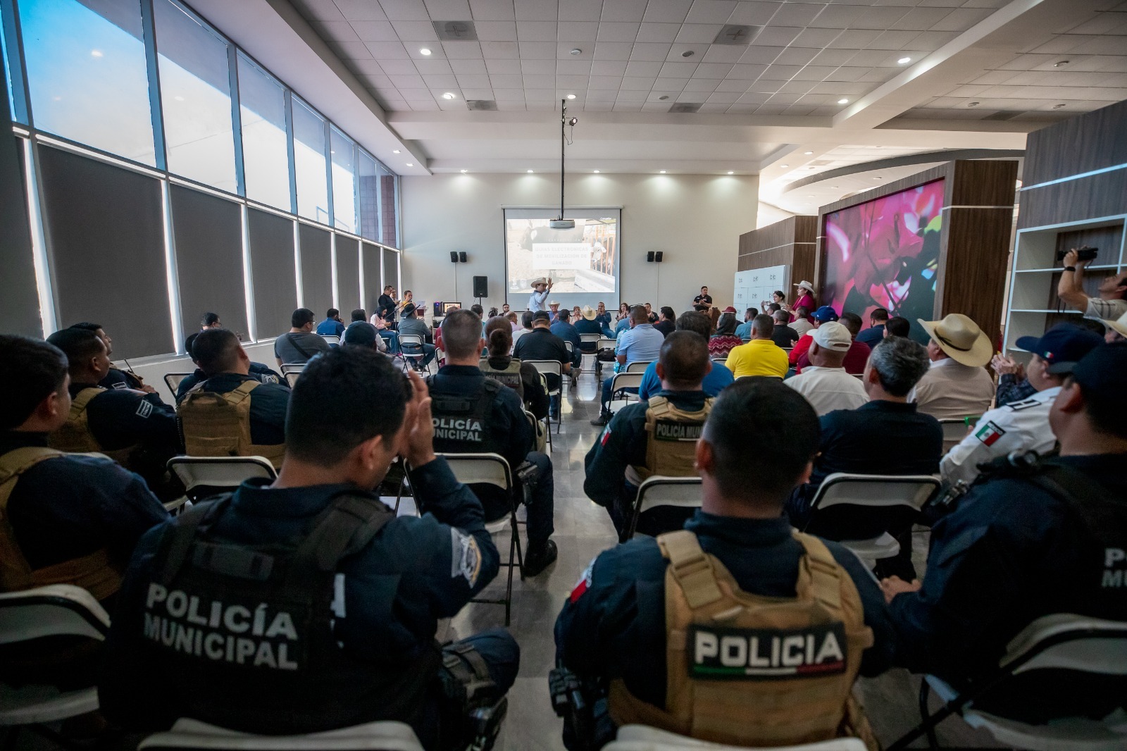 solución para frenar robo de ganado