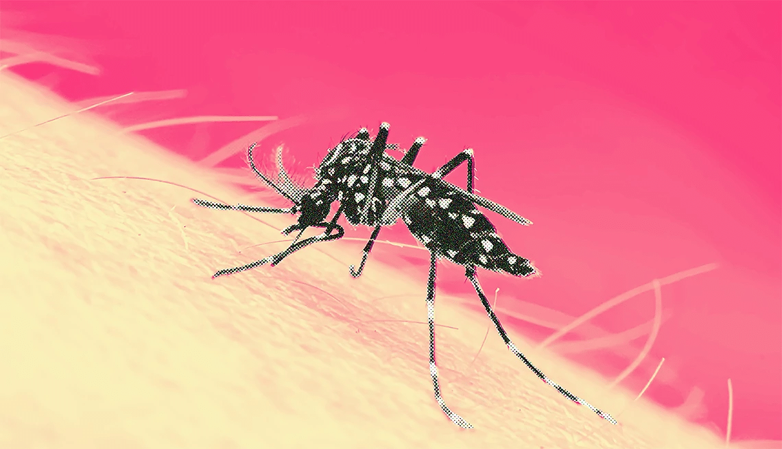 Salud Ahome toma medidas contra el dengue