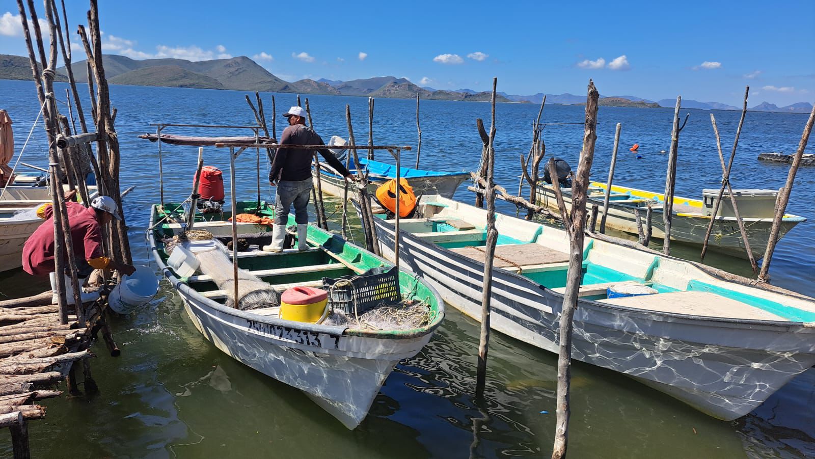 Semar suma esfuerzos con pescadores para combatir la pesca ilegal en Ahome