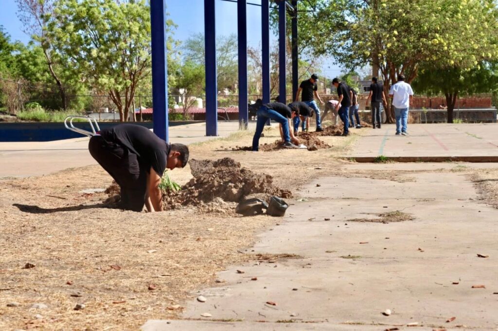 Sinaloa municipio celebra el Día Mundial del Medio Ambiente con reforestación