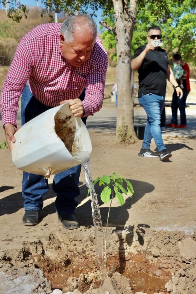 Sinaloa municipio celebra el Día Mundial del Medio Ambiente con reforestación