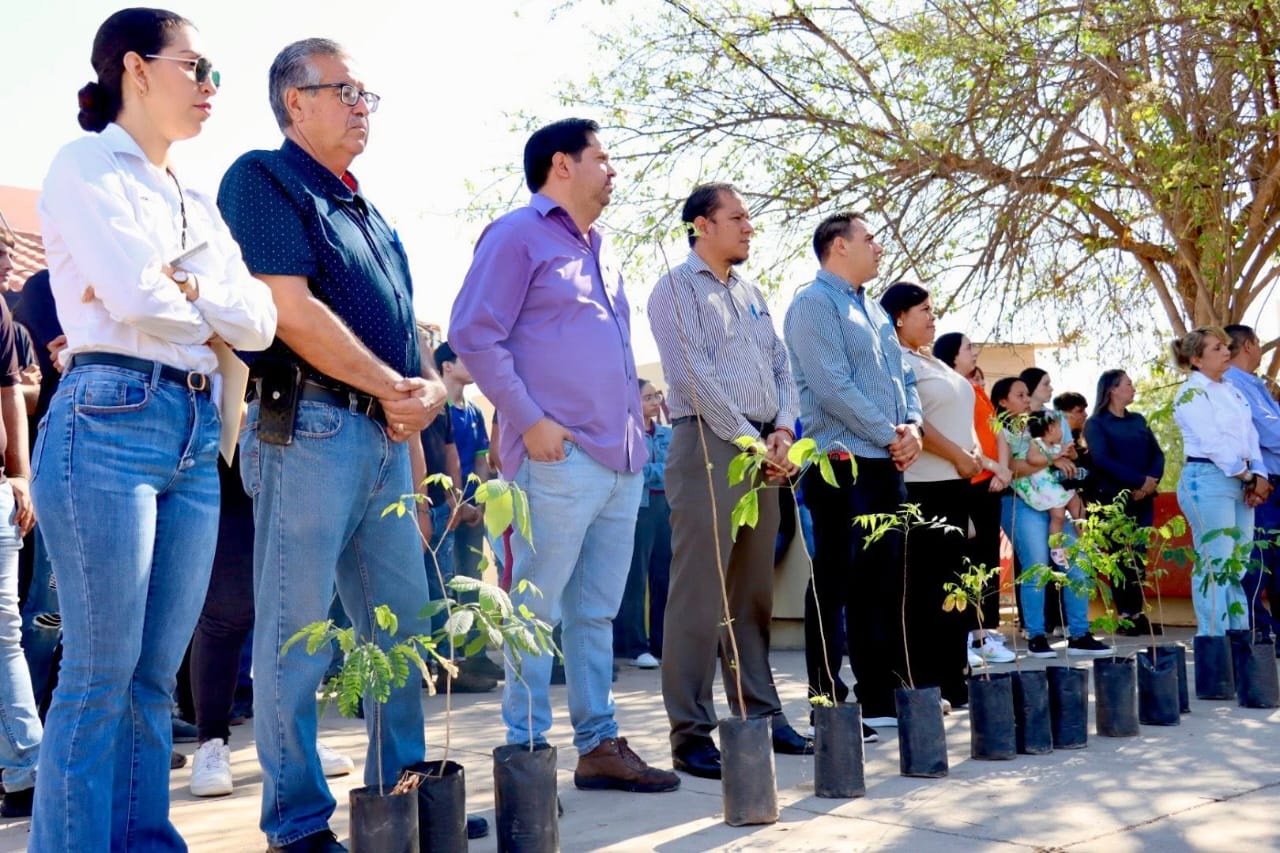 Sinaloa municipio celebra el Día Mundial del Medio Ambiente con reforestación