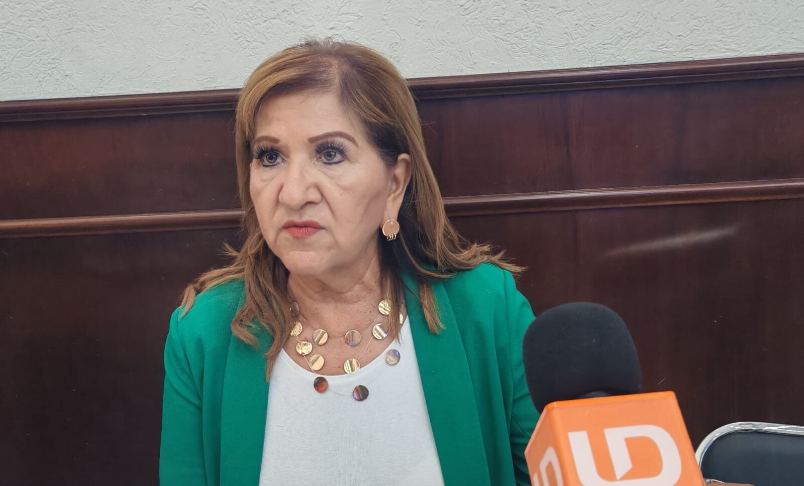 Tere Guerra advierte necesidad de actualizar normativa para facilitar acceso a autoridades a privadas