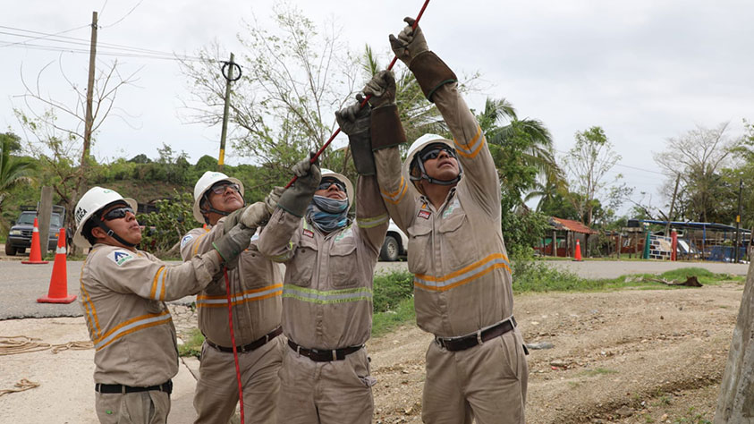 Trabajadores de CFE