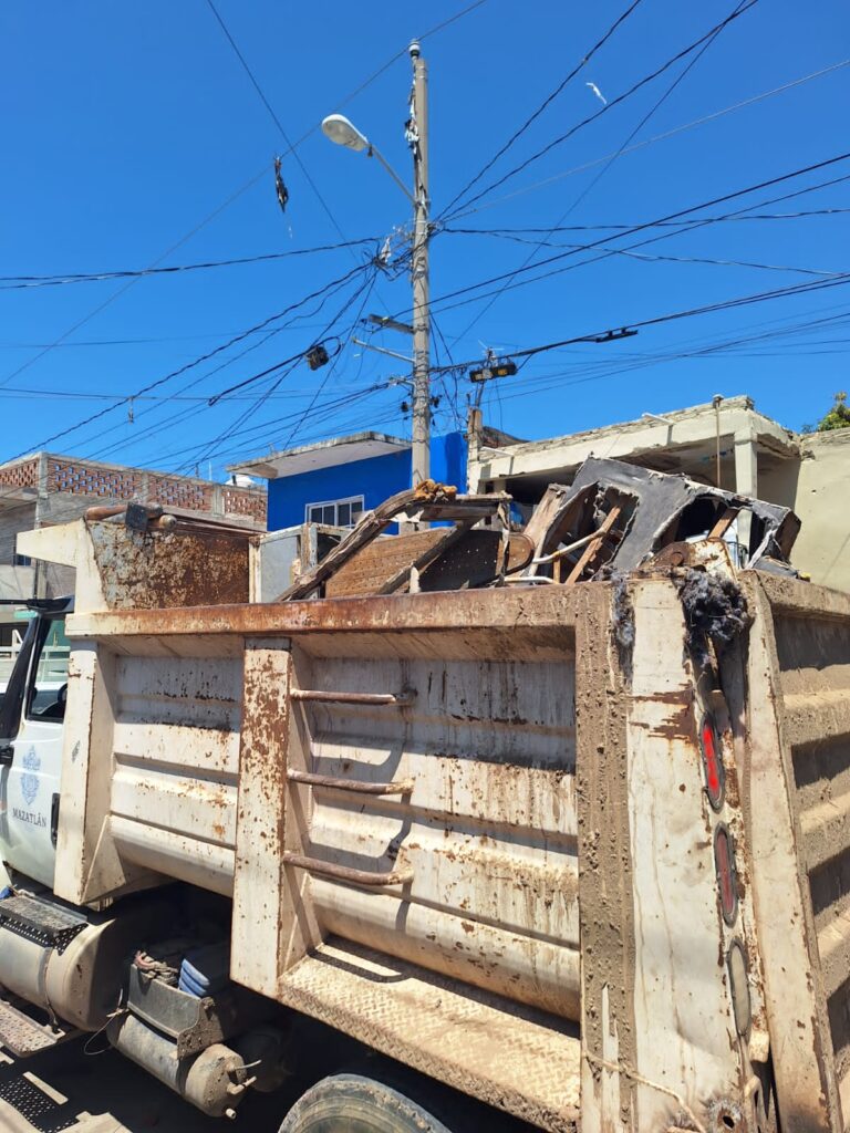 Tras rescatarlos Gobierno de Mazatlán suma jornada de esterilización a perros que sufrían maltrato