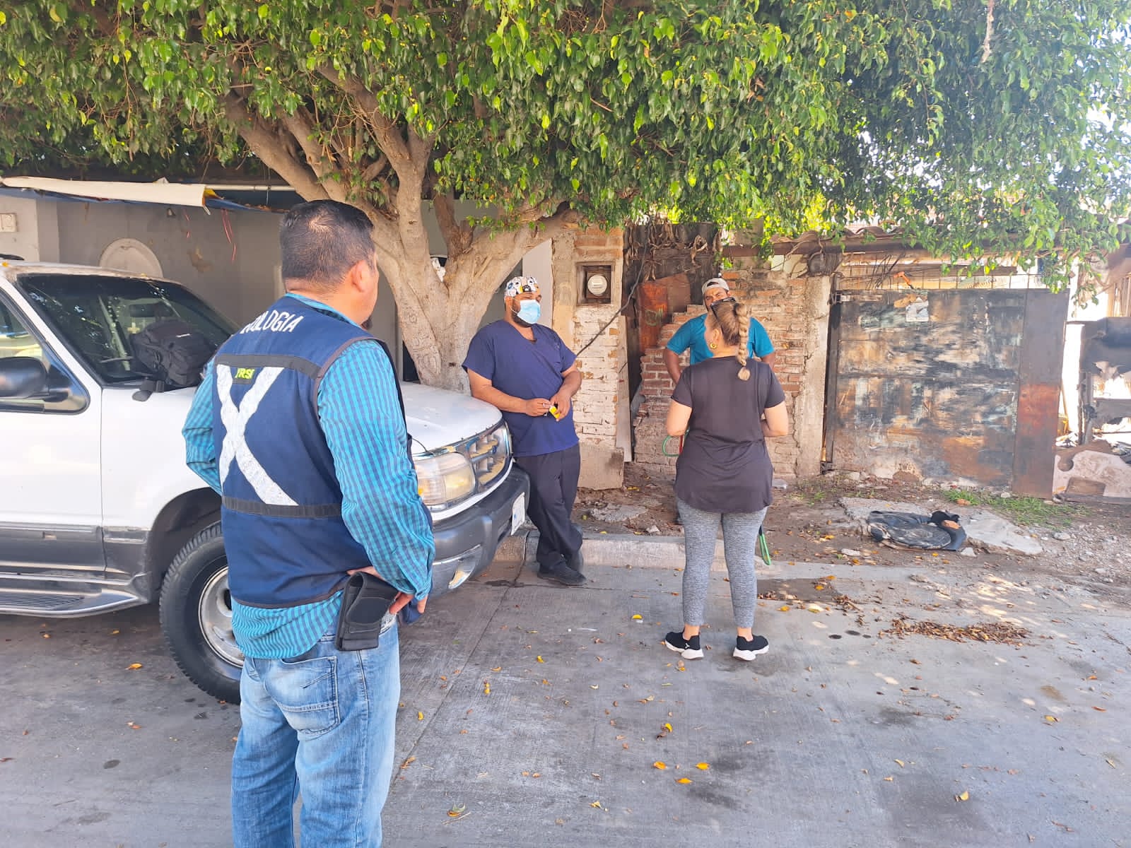 Tras rescatarlos Gobierno de Mazatlán suma jornada de esterilización a perros que sufrían maltrato