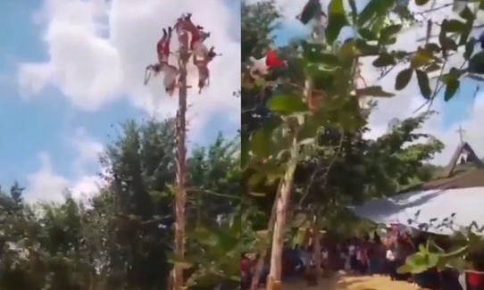 VIDEO: Voladores de Papantla sufren aparatoso accidente durante ceremonia en Veracruz