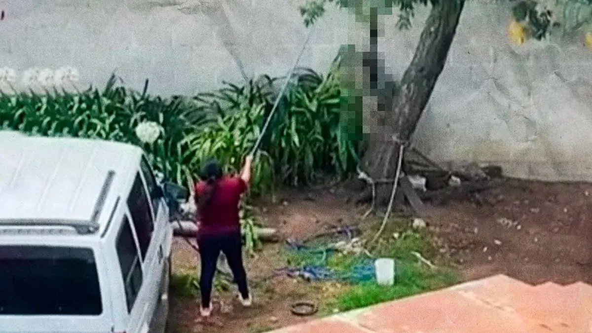 Investigan caso de maltrato animal en Tulancingo; perro fue rescatado con vida