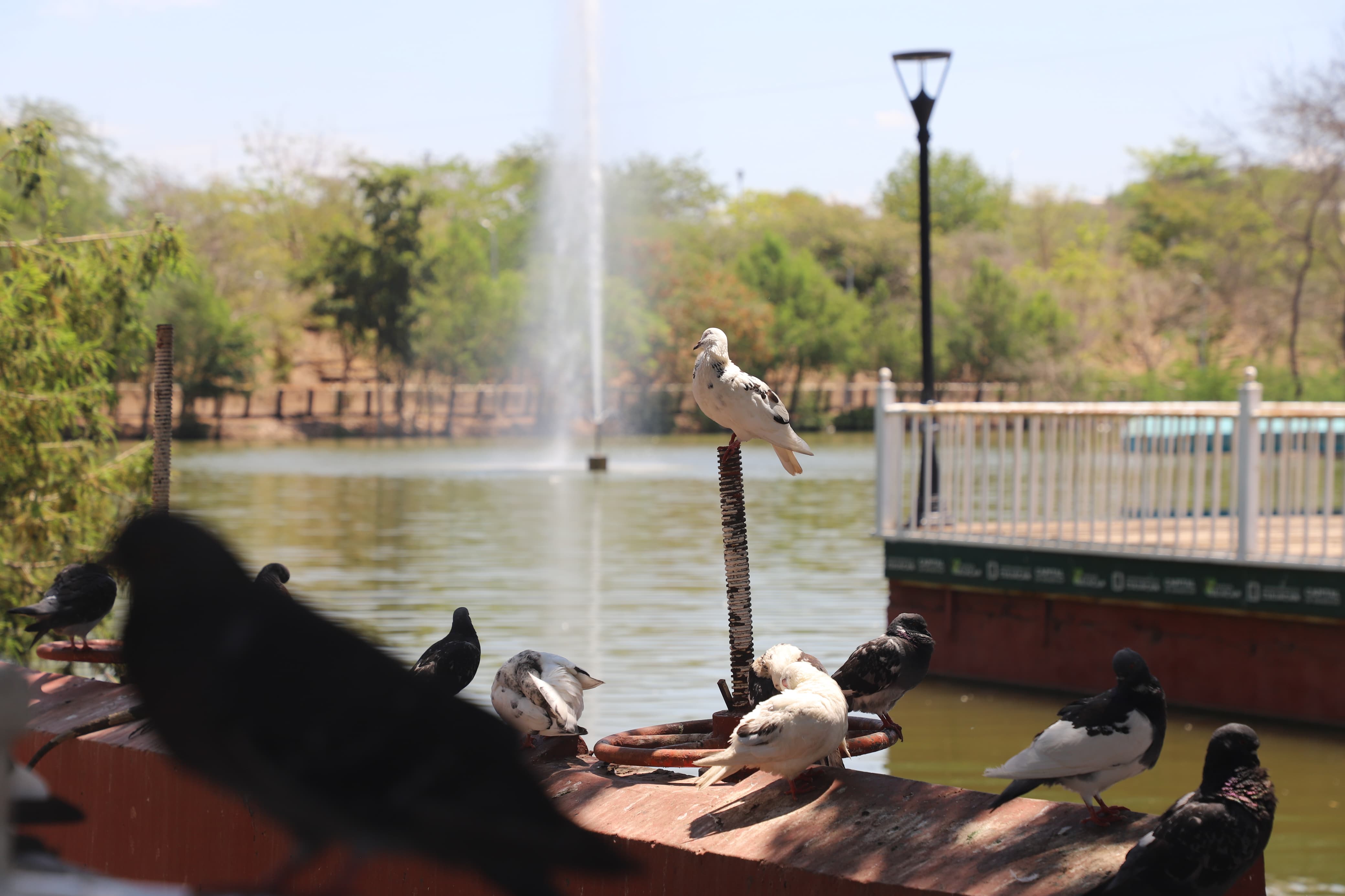 El Parque Culiacán 87 tendrá sus puertas abiertas a visitantes.