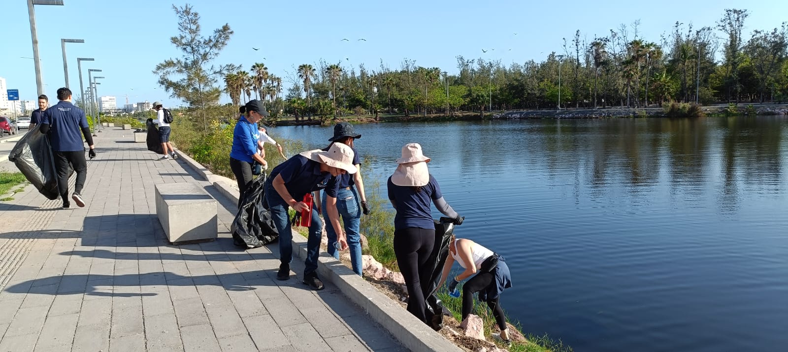 Limpieza medio ambiente en Mazatlán