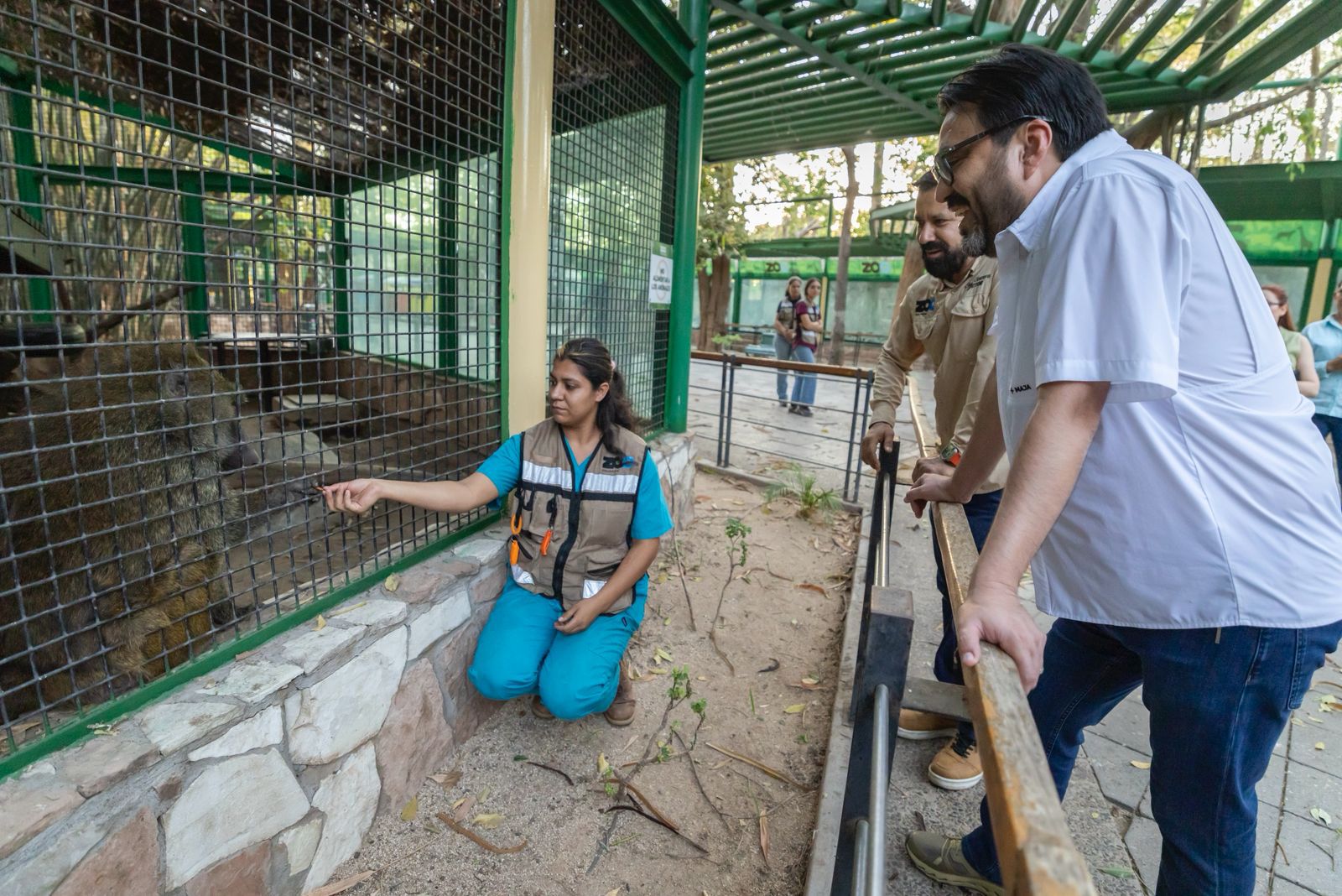 Mejora continua es lo que se busca en el Zoológico de Culiacán.