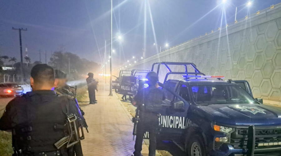 Elementos policiales en la carretera Internacional México 15
