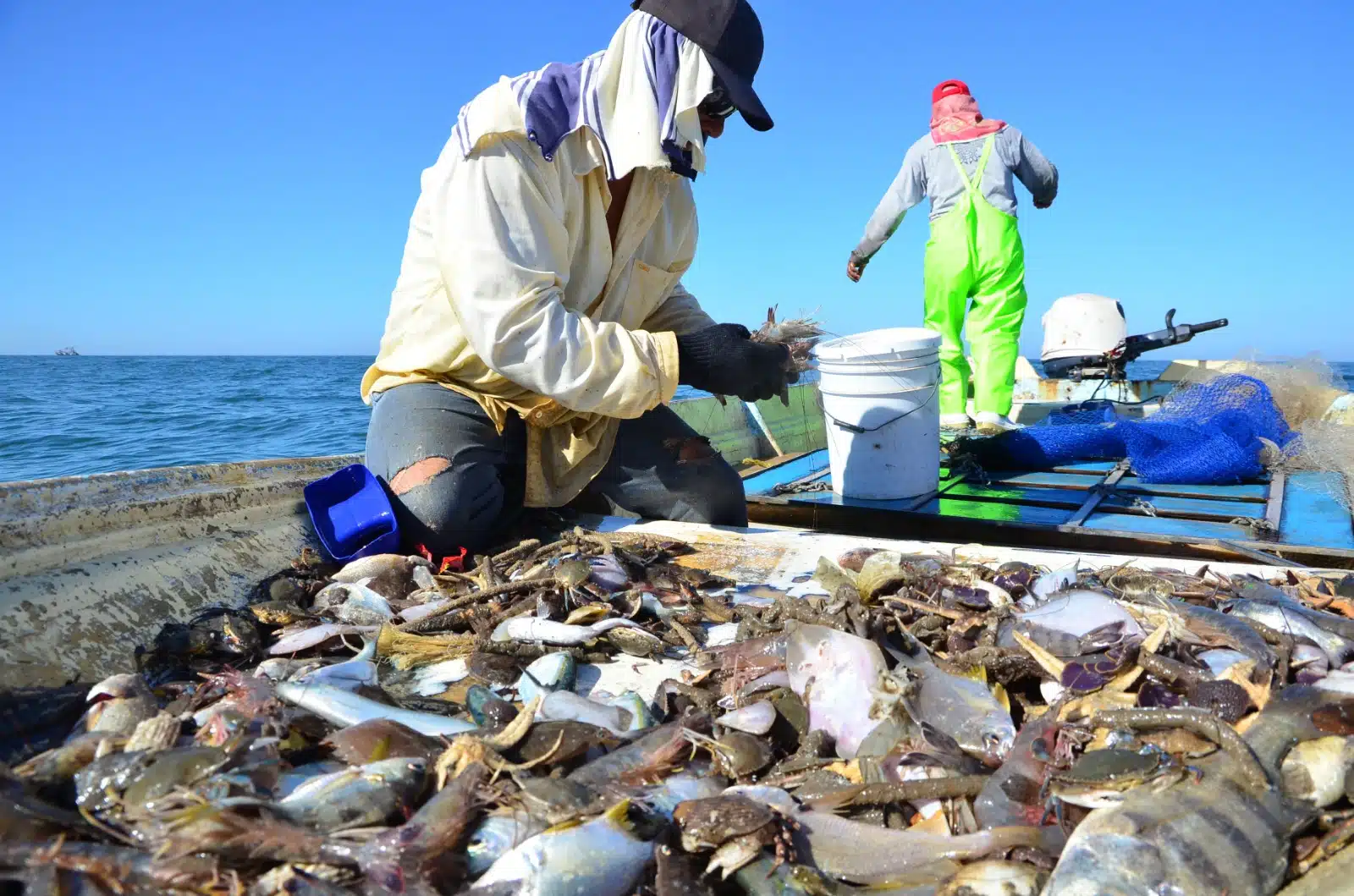 pesca de jaiba