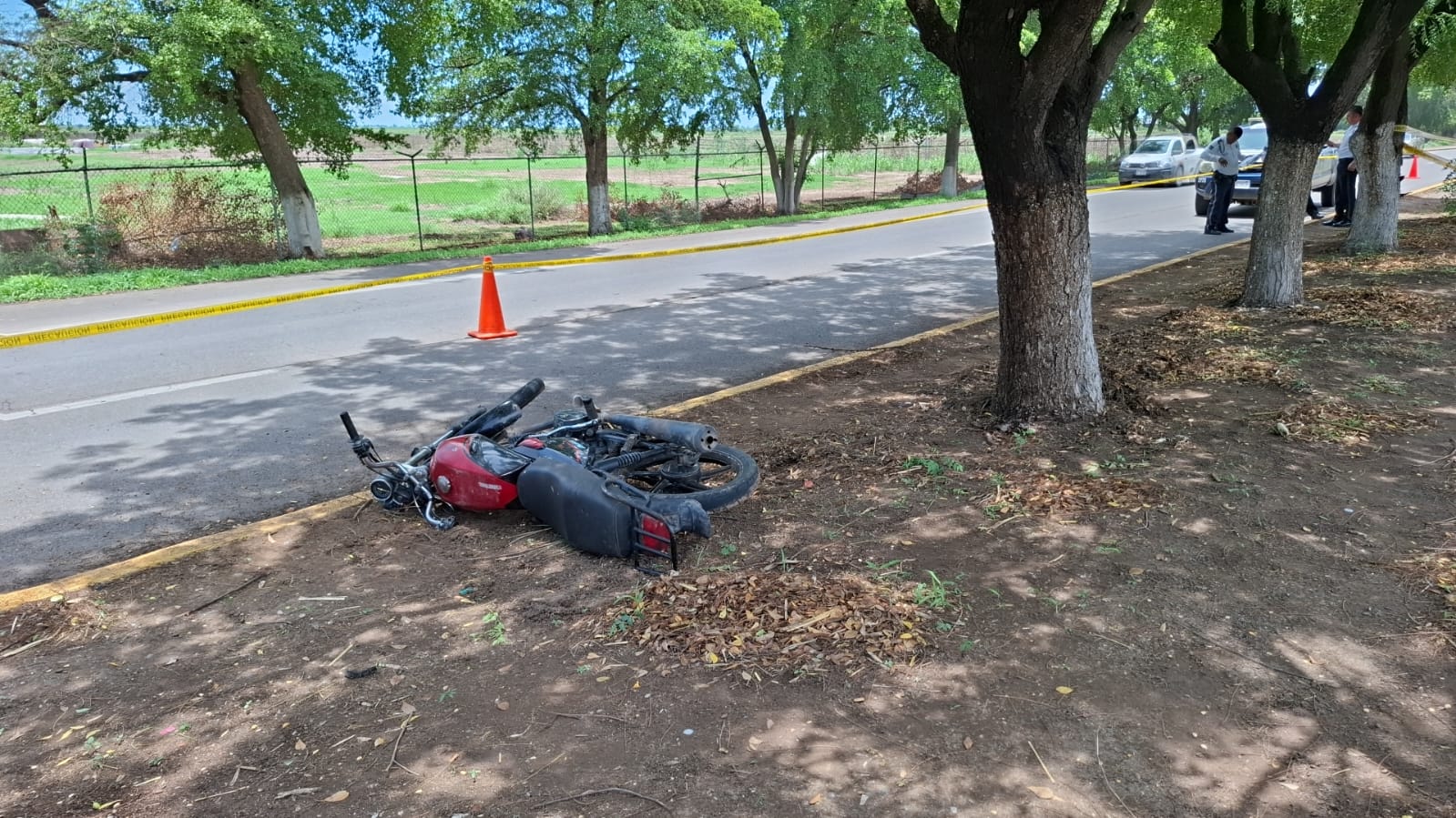 Fallece motociclista al chocar contra un árbol