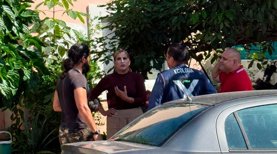 Personal de ecología de Mazatlán acude a domicilio con gatos