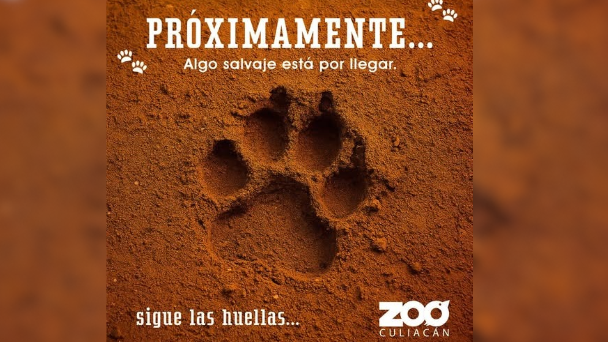 Algo salvaje está por llegar al Zoológico de Culiacán