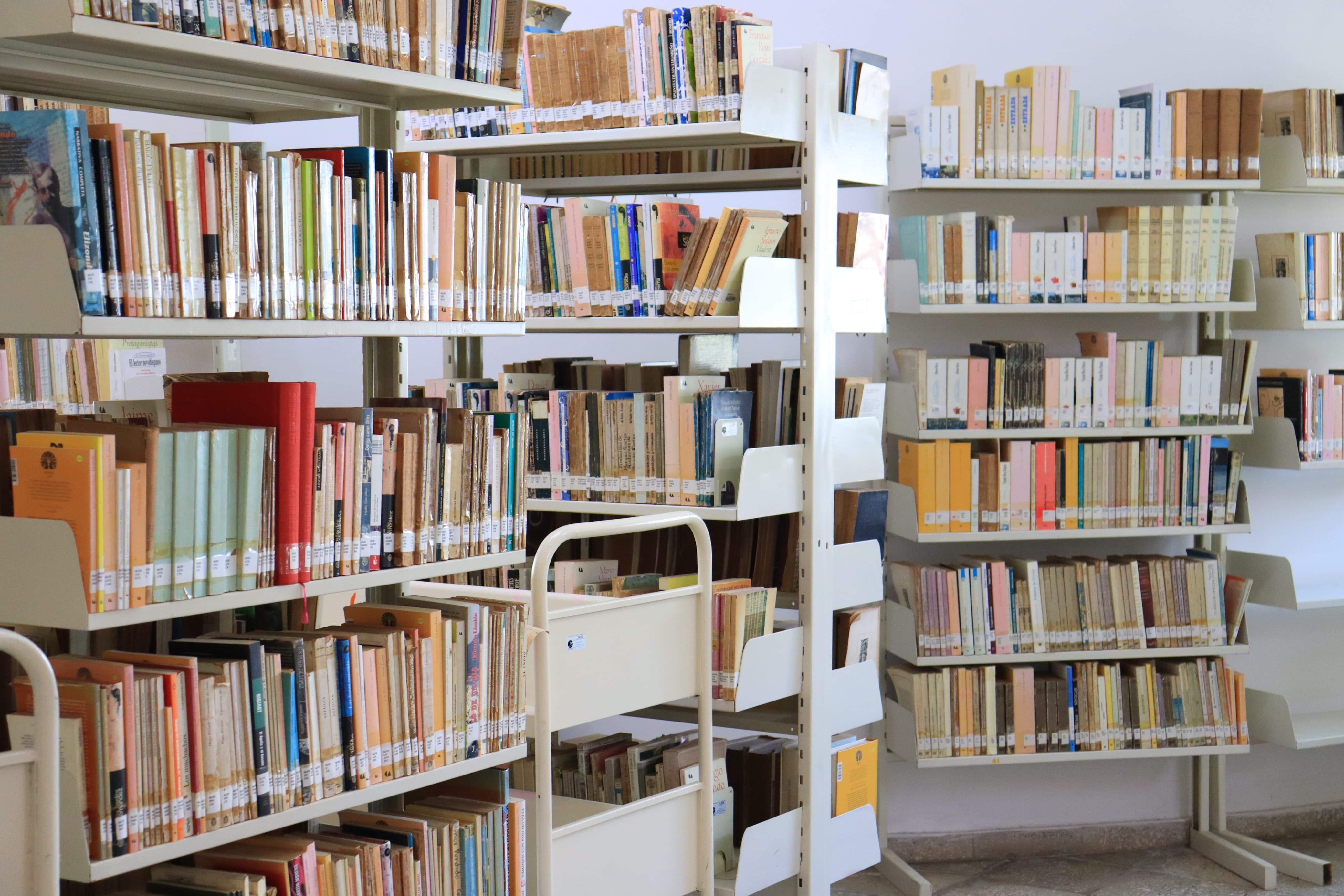 Arranca el “Factor Sorpresa”, un taller de verano en ocho bibliotecas de Mazatlán