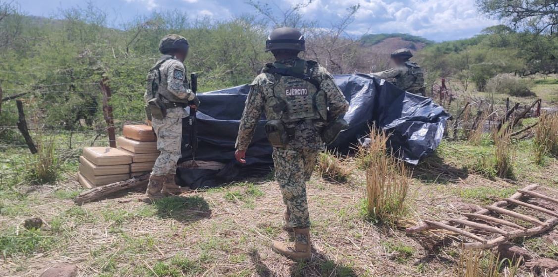 Casi media tonelada de mariguana fue asegurada