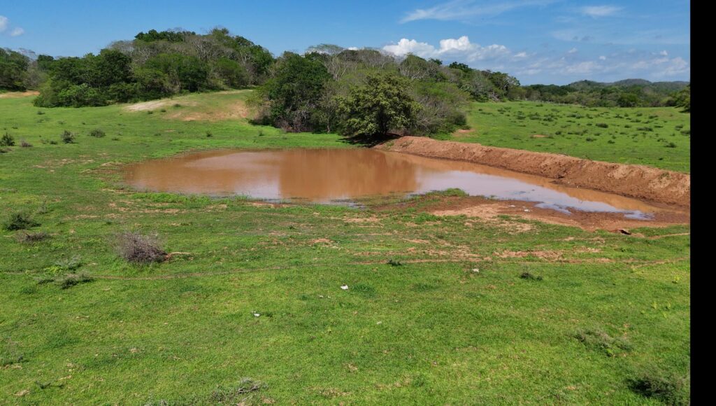 Avanza la construcción de abrevaderos y bordos en la zona rural de Mazatlán
