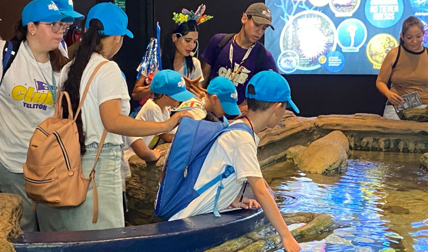 Niños de CRIT Sinaloa visitan al Gran Acuario Mazatlán