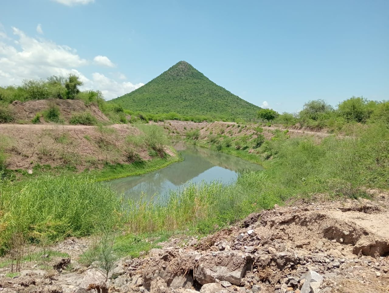 Canal Cahuinahua baja podrido desde Charay