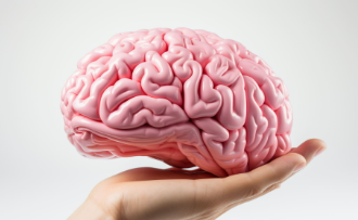 El cerebro no deja de crear neuronas; una esperanza para tratar Alzheimer y otros trastornos
