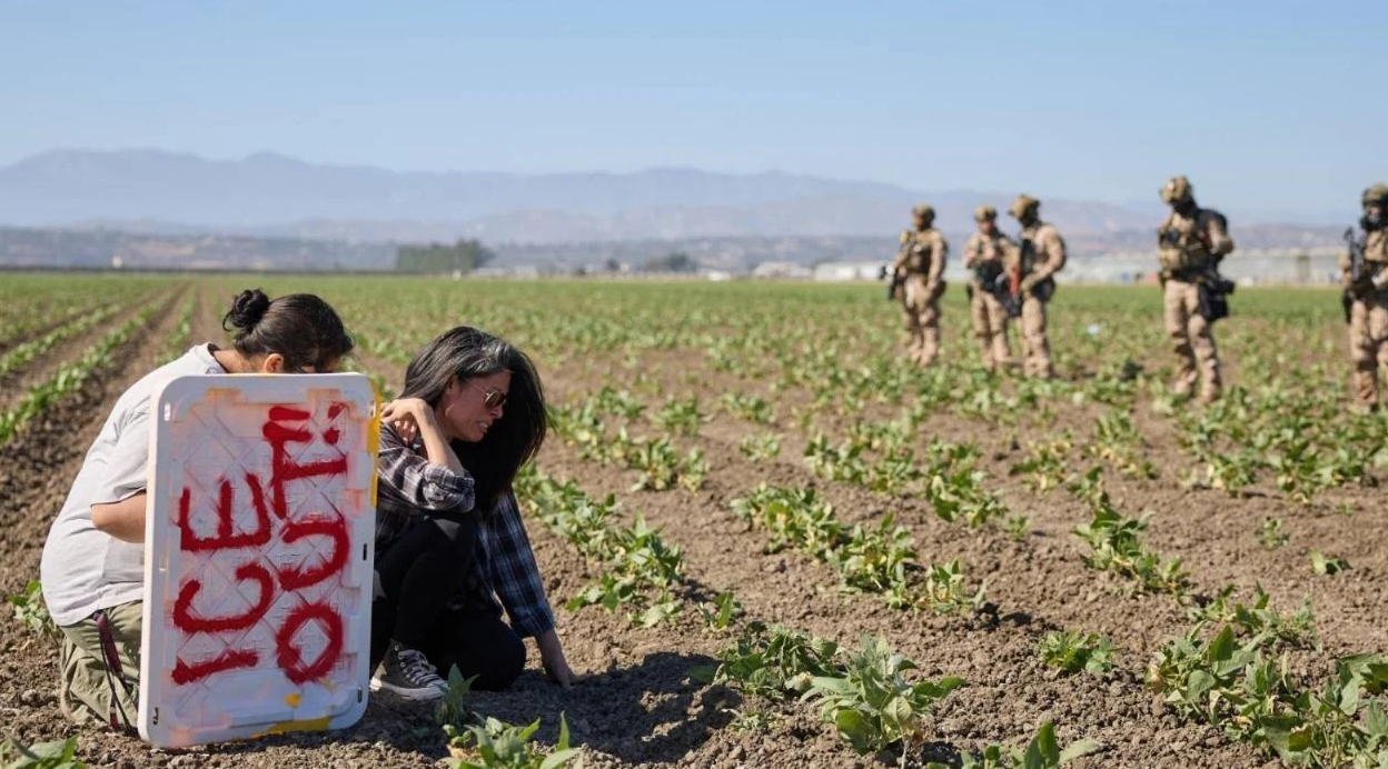 Redada en granjas de cannabis deja 361 detenidos y un migrante muerto en California