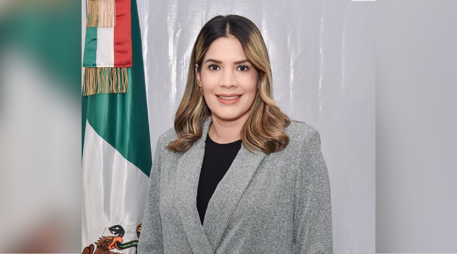 Cecilia Hernández, fue suspendida temporalmente de su cargo