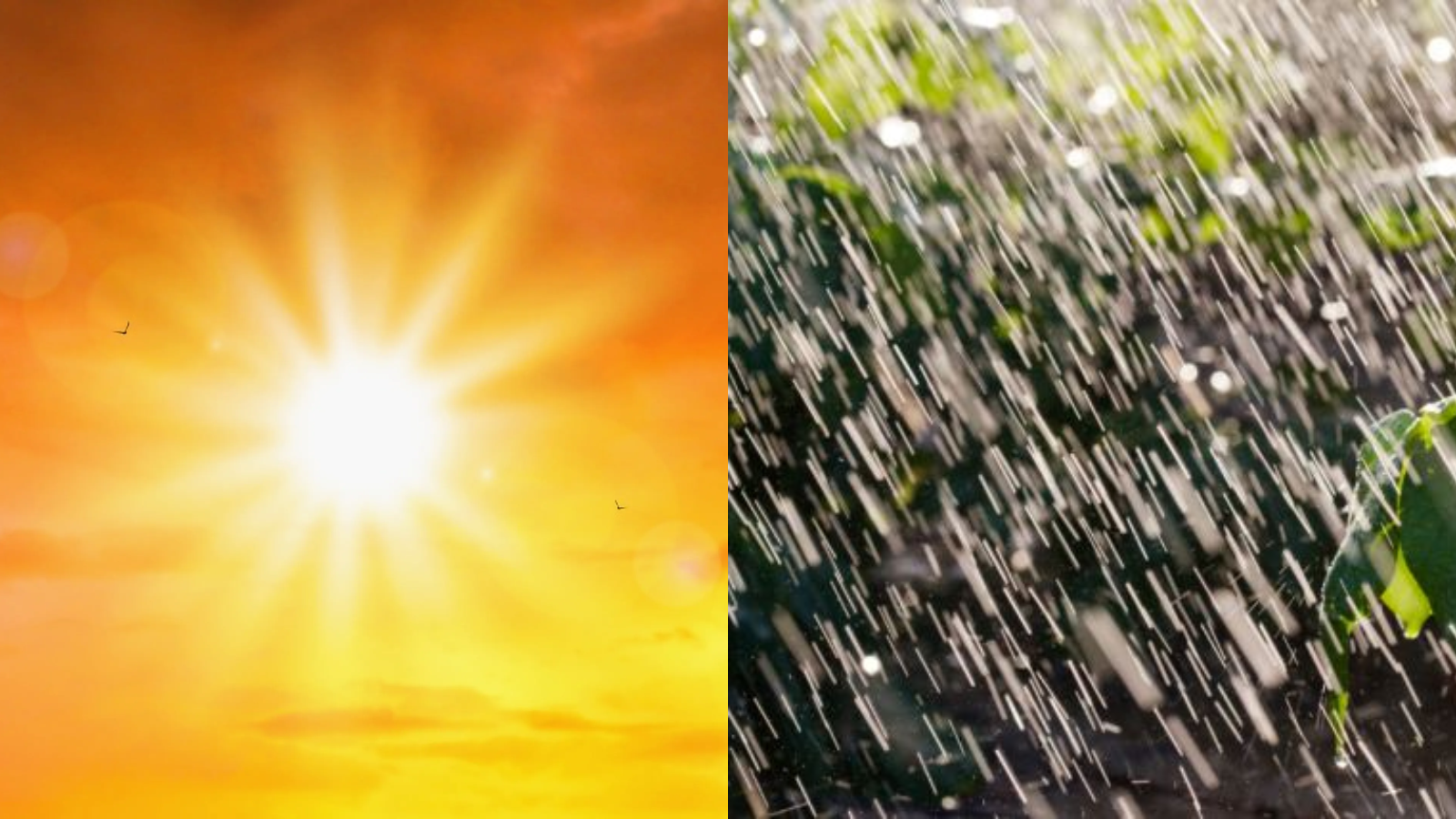 Clima de Sinaloa