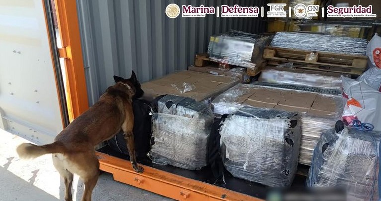 Autoridades aseguran 200 kilos de cocaína en Ensenada, Baja California