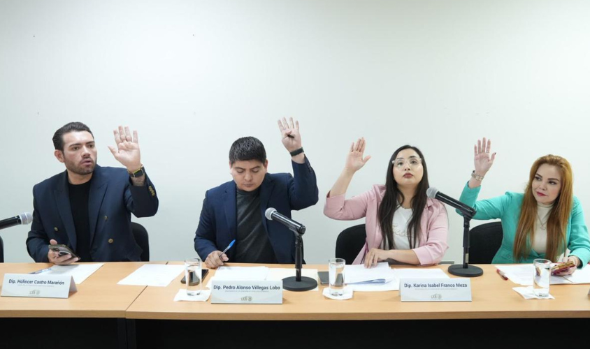 Consejo Consultivo de la CDEH del Congreso de Sinaloa