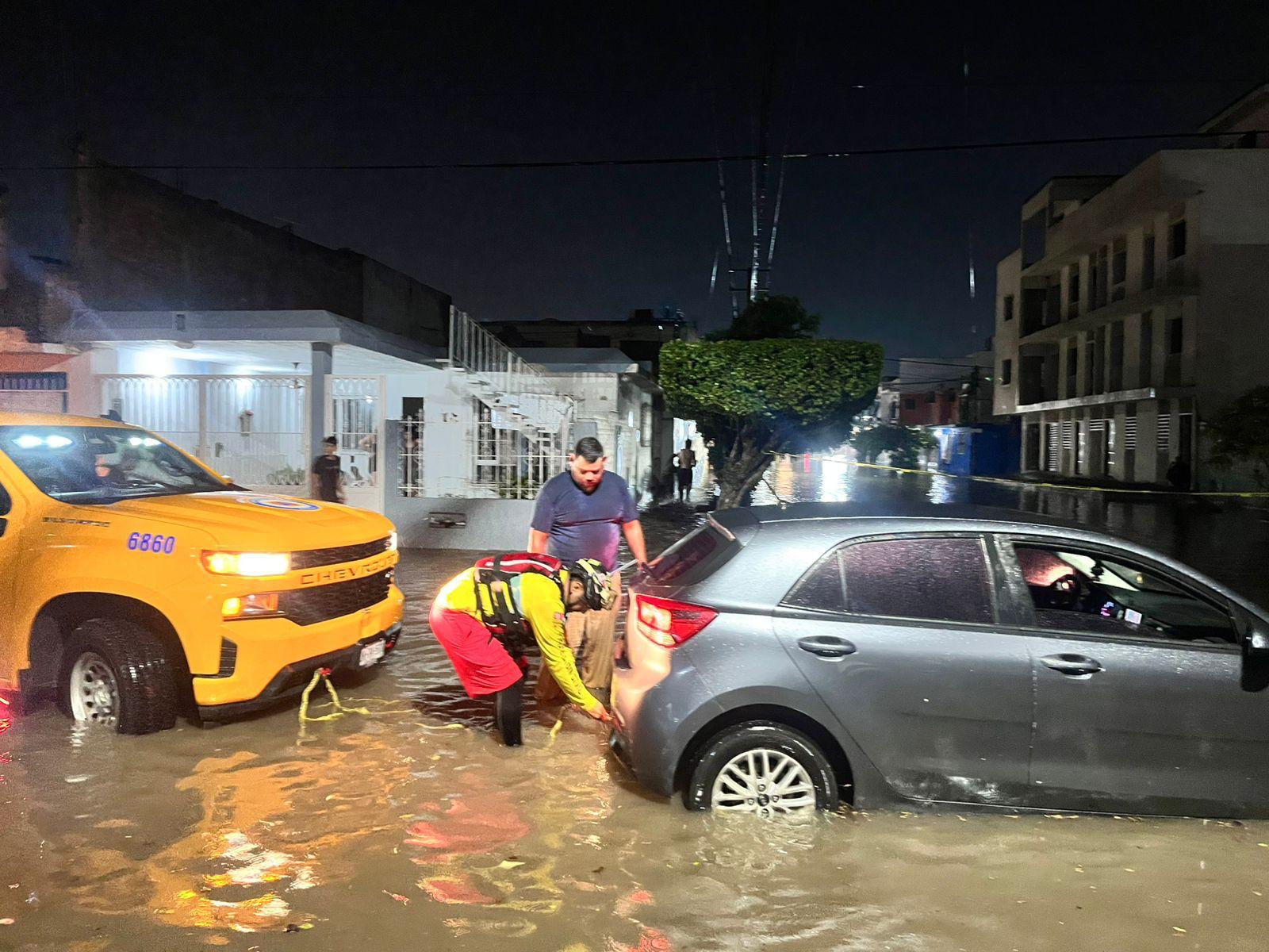Seis viviendas inundadas, autos varados y árboles caídos