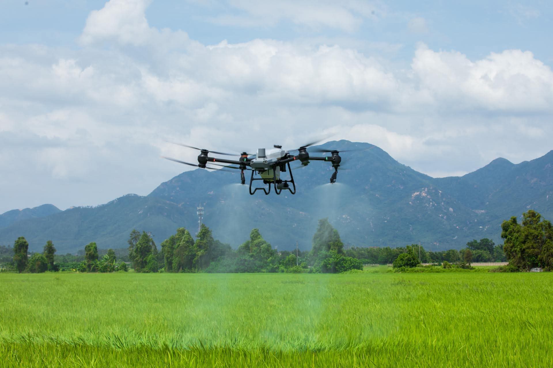 Drones en agricultura
