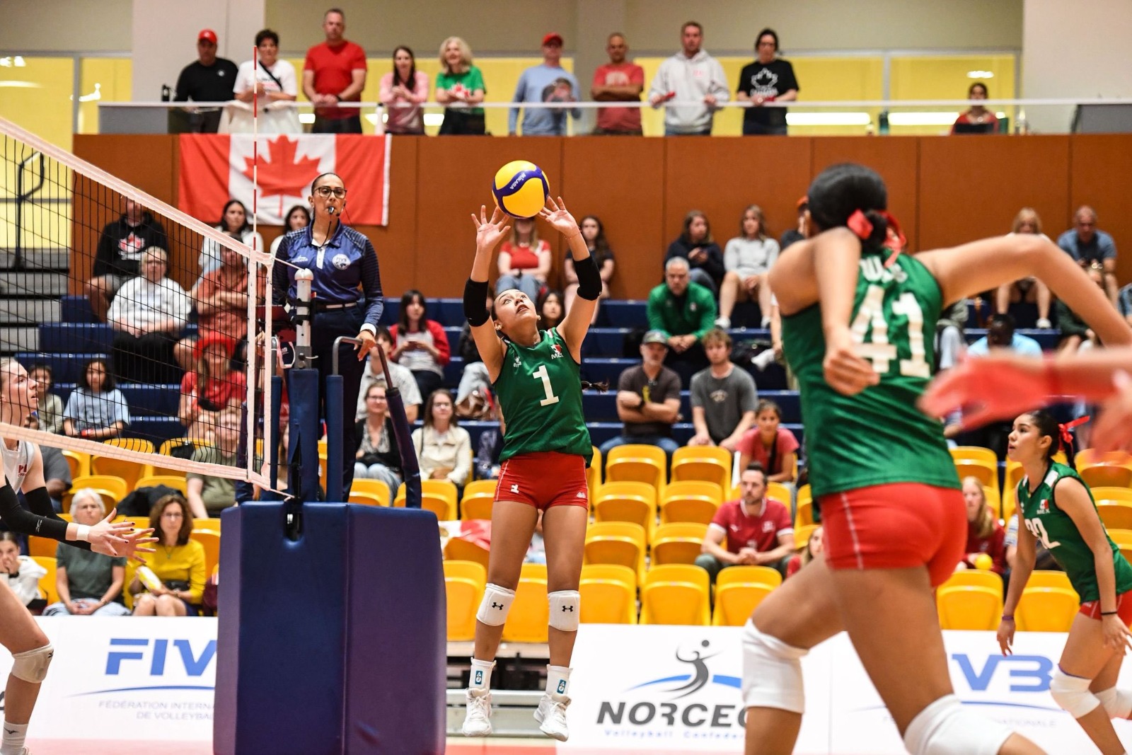 Voleibol U-19