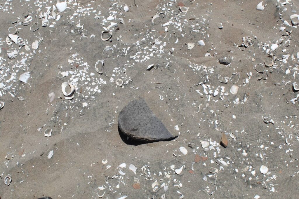 Hallazgos arqueológicos evidencian la frontera entre culturas