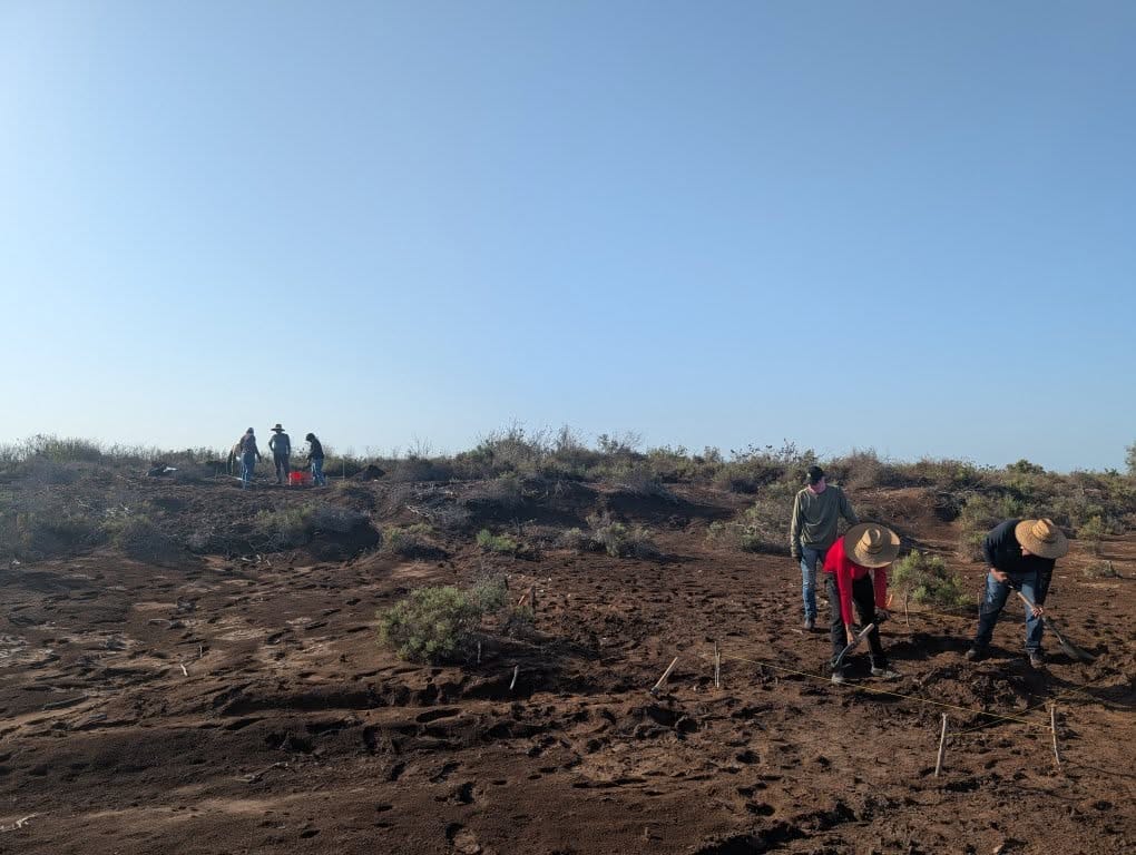Hallazgos arqueológicos evidencian la frontera entre culturas