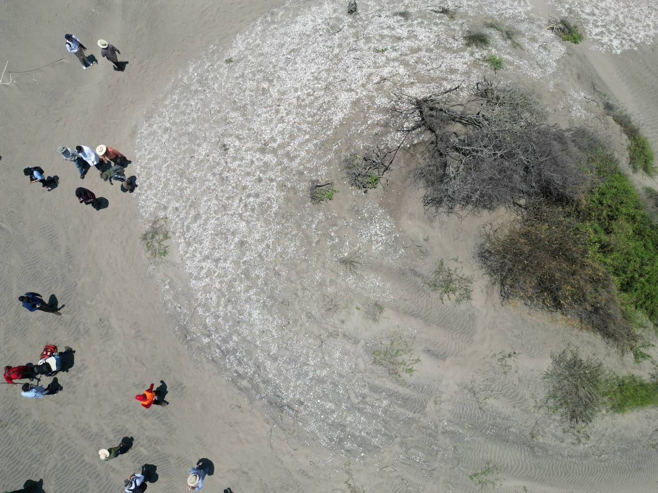 Hallazgos arqueológicos evidencian la frontera entre culturas