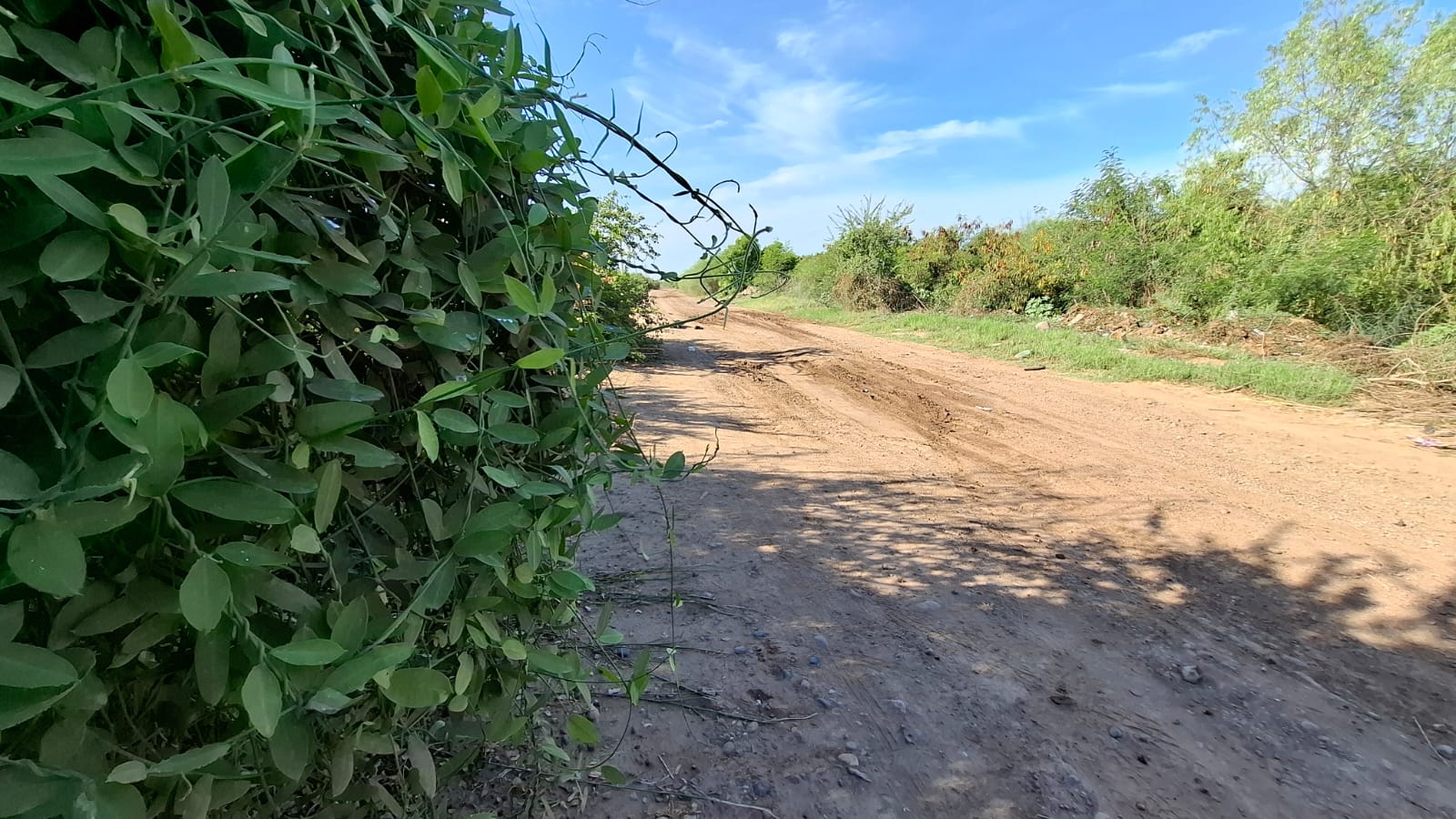 Localizan a un hombre asesinado a balazos sobre un camino de terracería