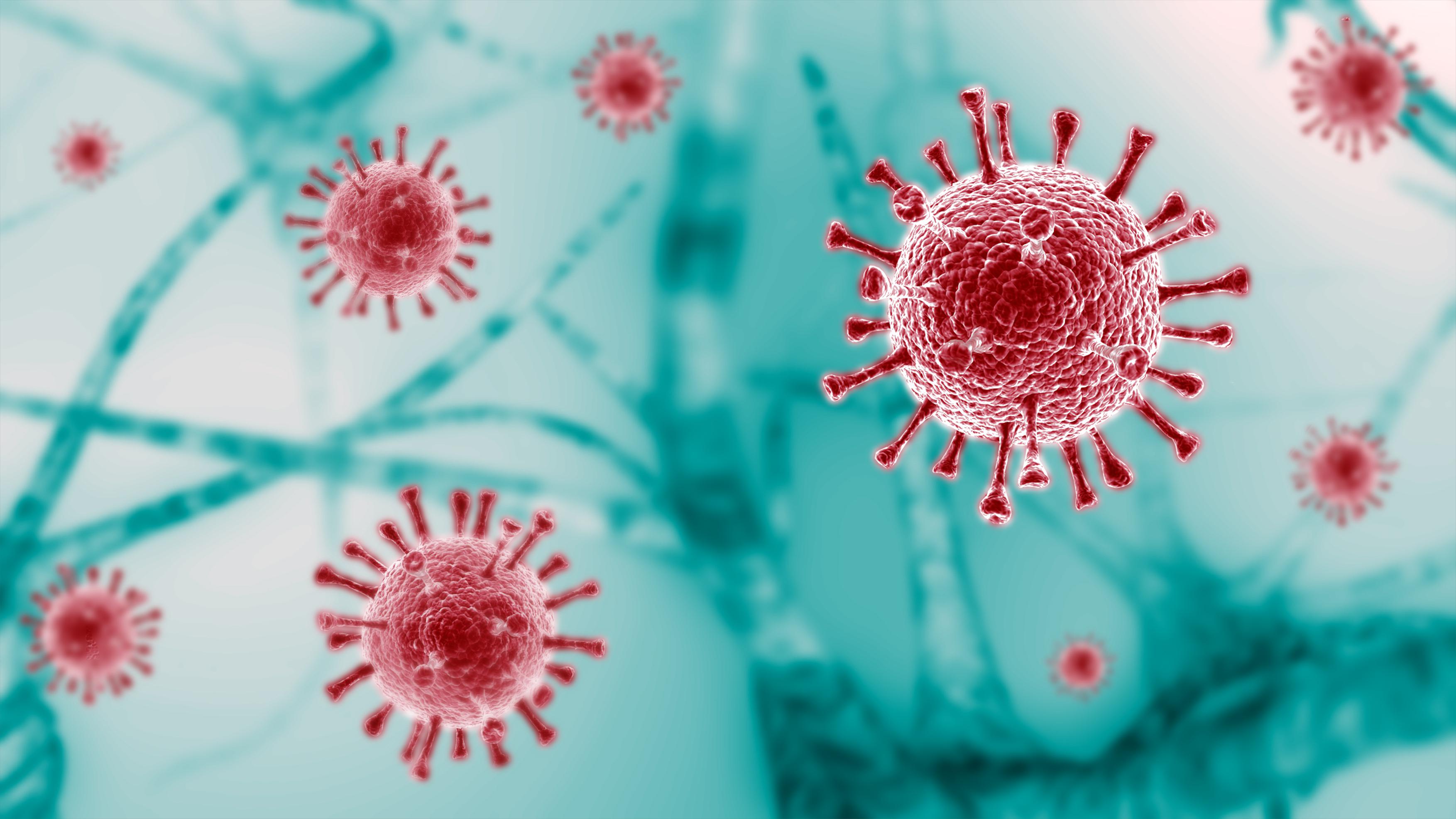 Bacterias