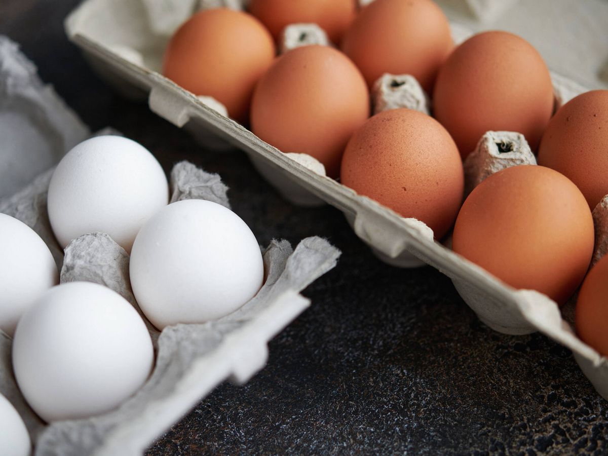 Huevos ricos en Omega 3: esta es la marca que Profeco más recomienda en el mercado